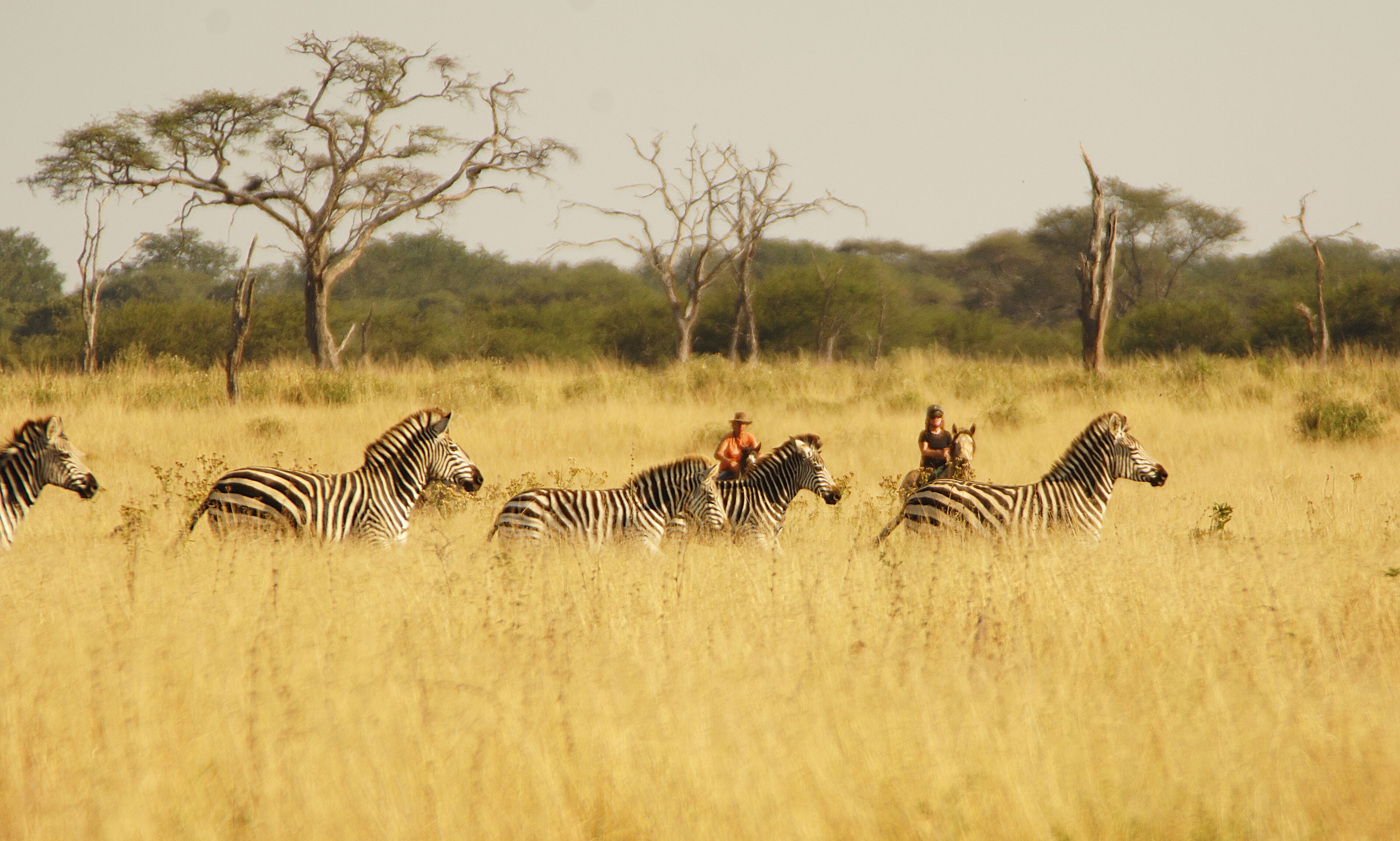 Ride Zimbabwe Hwange Safari 